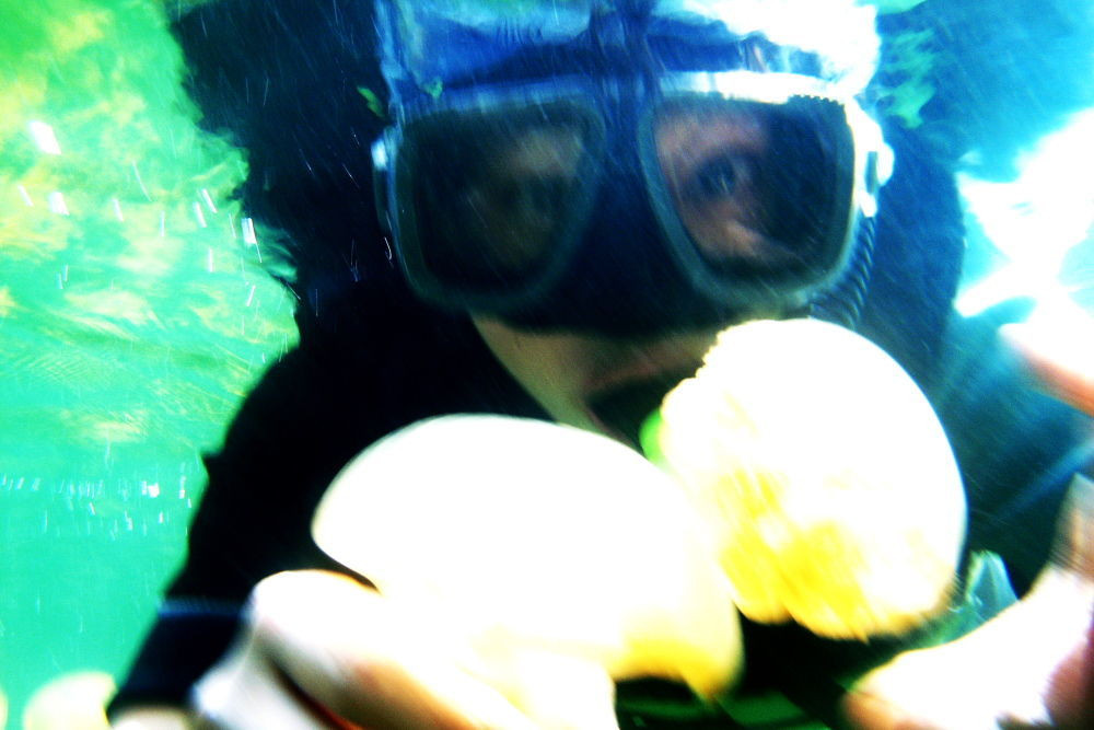 Bơi cùng những chú sứa là một trải nghiệm thú vị dành cho khách du lịch đến Palau.