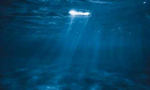 Những sinh vật đầu tiên xuất hiện có hình dáng giống sâu đã tiến hóa dưới đáy biển.