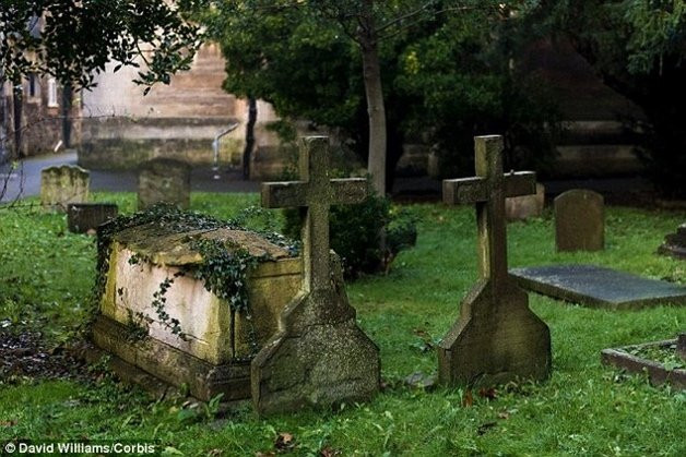 Ruột là cơ quan phân hủy đầu tiên