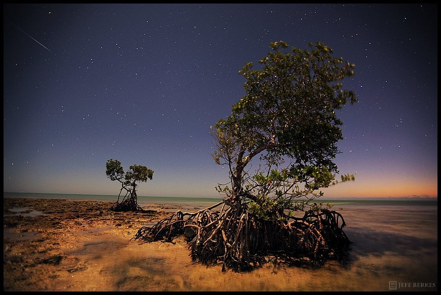 Sao băng đang đắm chìm trong ánh sáng trăng. (Ảnh: Jeff Berkes)