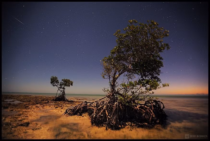 Sao băng đang đắm chìm trong ánh sáng trăng. (Ảnh: Jeff Berkes)
