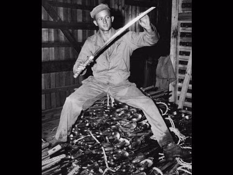 Cũng trong năm đó, thứ duy nhất trong văn hóa Samurai còn tồn tại trong quân đội Nhật Hoàng chính là những thanh kiếm Gunto. Sự có mặt của những thanh kiếm này trong quân đội Nhật Hoàng như một thứ vũ khí chính thức mang cả tính thực chiến lẫn nghi thức đã giúp cho rất nhiều Samurai Nhật Bản thời bấy giờ xung phong tham gia vào quân đội Nhật Bản dù họ cực kỳ bất mãn khi chính phủ Nhật đã đặt các Samurai ra ngoài vòng pháp luật. Nguồn ảnh: Youtube.