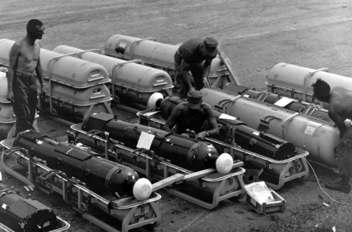 Theo một vài tài liệu mật được phía Mỹ giải mã, phía VNCH đã sử dụng hết 15 trên tổng số 17 quả bom CBU mà Mỹ bàn giao cho lực lượng này. Tất cả số bom trên đều được VNCH sử dụng trong giai đoạn từ 1972 tới 1975. Còn lại hai quả CBU không rõ loại sau chiến tranh được đặt tại kho Long Bình đã bị phía QĐND Việt Nam thu giữ. Tuy nhiên 2 quả bom này lại không có ngòi nổ và hoàn toàn vô dụng. Nguồn ảnh: Wiki.