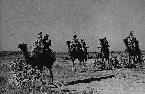 Cho đến tận cuộc chiến tranh Pakistan-Ấn Độ vào năm 1964 người ta vẫn còn thấy bóng dáng của lực lượng lạc đà chiến đấu. Những người lính sẽ cưỡi lạc đà làm nhiệm vụ tuần tra, hoặc thậm chí sử dụng lạc đà như một phương tiện tốc độ cao để tiến hành tấn các cuộc tấn công chớp nhoáng. Ảnh: Moveon.