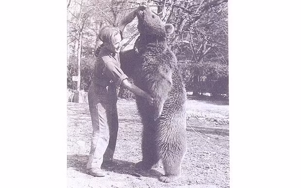 Một trong những loài động vật phục vụ trong quân đội chính là chú gấu Voytek, chú gấu này đã được phục vụ trong biên chế quân đội Ba Lan và chuyên thực hiện nhiệm vụ chở đạn trên chiến trường, điều đặc biệt là chú gấu này có sở thích... uống bia. Ảnh: Moveon.