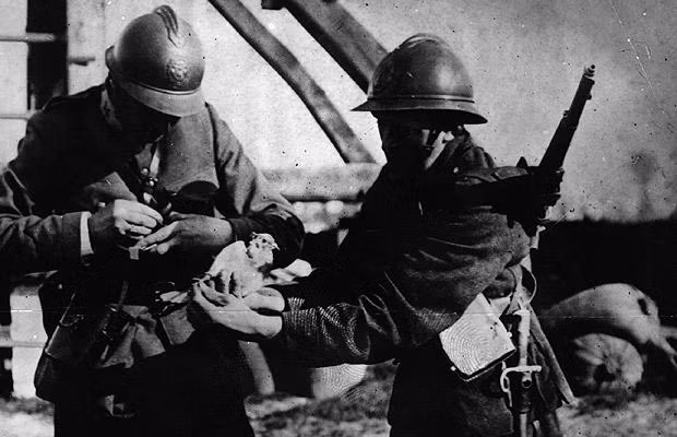 Những chú chim đã được sử dụng trong chiến tranh thế giới thứ nhất rất nhiều với nhiệm vụ đưa thư, thậm chí sang đến chiến tranh thế giới thứ hai các lực lượng tình báo vẫn sử dụng chim bồ câu đưa thư như một cách thức truyền tin đáng tin cậy. Để ngăn chặn chim bồ câu đưa thư, người ta cũng nuôi và thả lên trời rất nhiều diều hâu và đại bàng, vốn là thiên địch của loài bồ câu. Ảnh: Moveon.