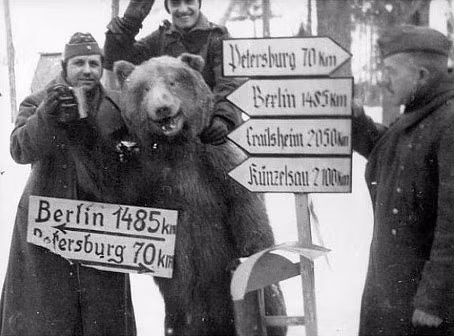 Những binh lính Đức Quốc Xã uống rượu cùng... chú gấu Nga ở nơi cách Sant Petersburg chỉ 70 km. Những người lính này hẳn đang nghĩ họ đã ở... rất gần chiến thắng rồi. Nguồn ảnh: History.