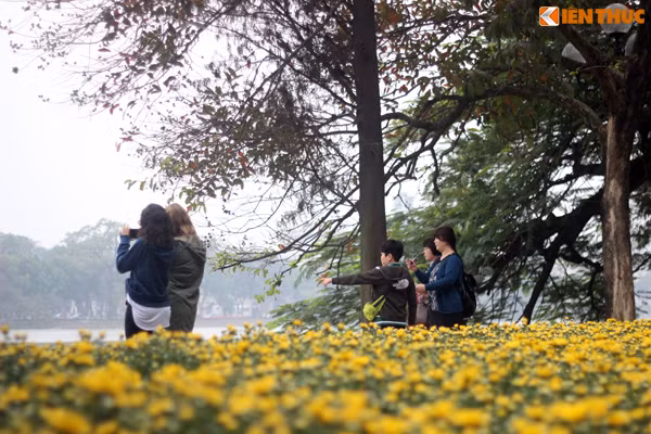 Nhiều bạn trẻ nuối tiếc, buồn cùng nhau tìm đến khu vực phát hiện xác "cục" Rùa. Được biết, sau khi đưa xác "cụ" Rùa hồ Gươm vào đền Ngọc Sơn, UBND thành phố Hà Nội đã quyết định chuyển xác cụ Rùa về Bảo tàng Thiên nhiên Việt Nam - Thuộc Viện Hàn lâm Khoa học Việt Nam.