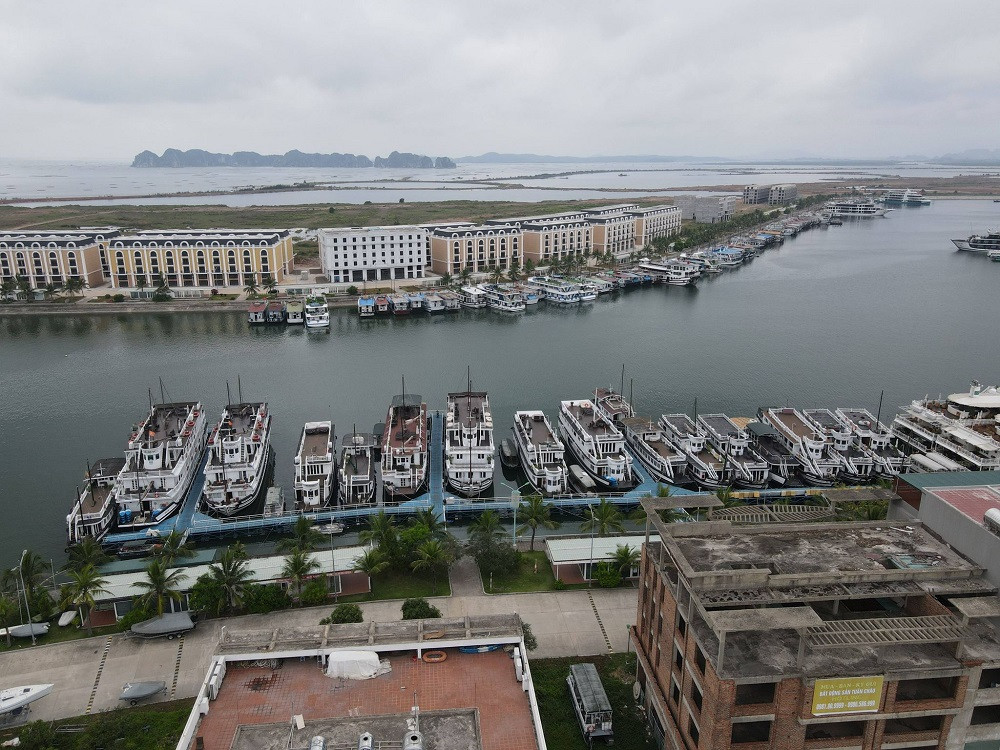 Doanh nghiep lam cach nao ung pho dich COVID-19... kinh doanh hieu qua?