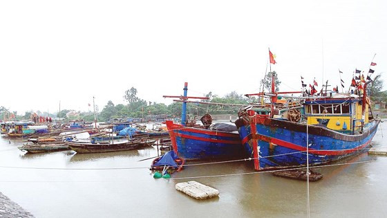 Tại tỉnh Thanh Hóa, mưa lũ đã làm đứt, sụt lún 20 m đường đầu cầu Yên Hòa thuộc tuyến đường 513 đi qua xã Hải Hà, huyện Tĩnh Gia vào lúc 3h sáng ngày 4/7, khiến người đi trên tuyến đường không phát hiện sự cố đã lao xuống hố sụt lún. Đã có 2 người chết và 3 người bị thương.