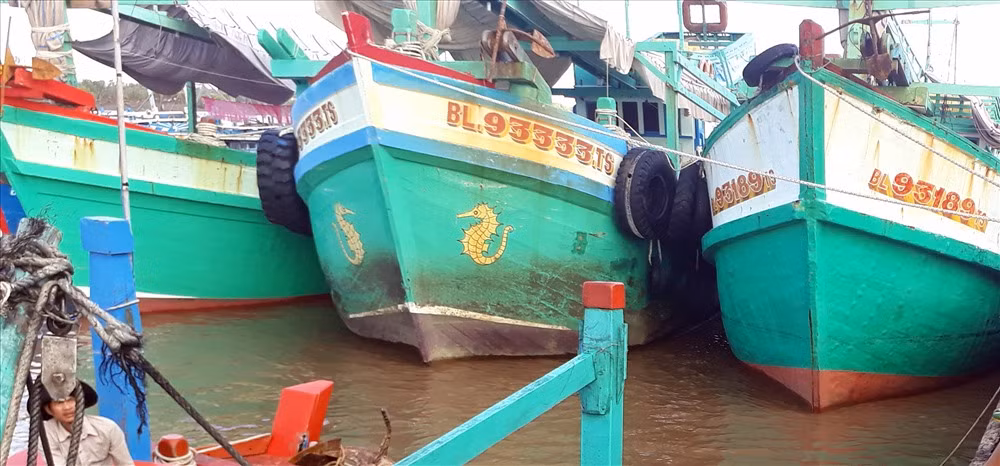 Tổng thiệt hại ước tính do bão số 1 gây ra là 27,87 tỷ đồng (Trà Vinh 1,51 tỷ đồng, Kiên Giang 2,74 tỷ đồng, Bạc Liêu 16,18 tỷ đồng, Cà Mau 1,03 tỷ đồng, Sóc Trăng 6,41 tỷ đồng).