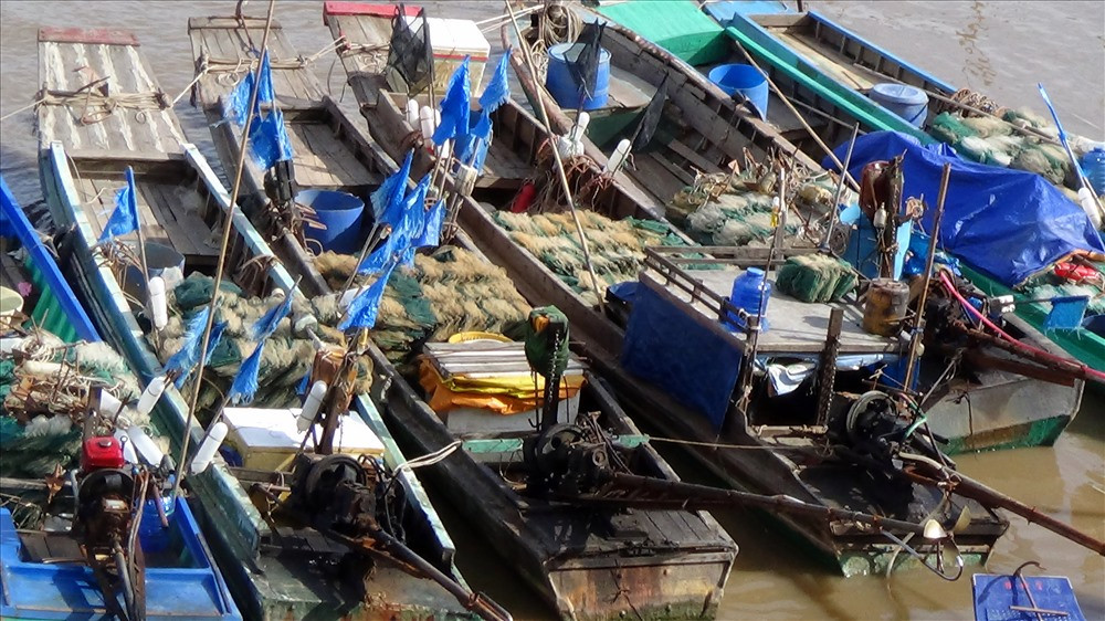 Bên cạnh đó, diện tích lúa bị ngã sập, ngập úng là 28.648ha (Trà Vinh 182,2ha, Bạc Liêu 12.636ha, Cà Mau 5.775ha, Sóc Trăng 10.055ha), trong đó hư hại là 4.568ha tại Bạc Liêu và 173ha tại Sóc Trăng; hoa màu bị ngập, hư hại: 2.504ha (Trà Vinh 10,8ha, Bạc Liêu 159,8ha, Cà Mau 154ha, Sóc Trăng 2.179ha).