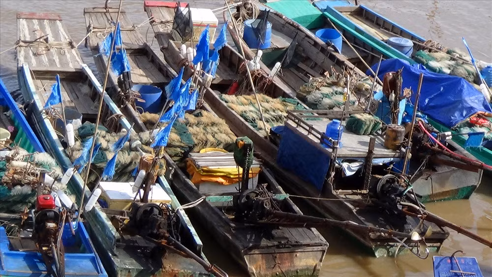 Bên cạnh đó, diện tích lúa bị ngã sập, ngập úng là 28.648ha (Trà Vinh 182,2ha, Bạc Liêu 12.636ha, Cà Mau 5.775ha, Sóc Trăng 10.055ha), trong đó hư hại là 4.568ha tại Bạc Liêu và 173ha tại Sóc Trăng; hoa màu bị ngập, hư hại: 2.504ha (Trà Vinh 10,8ha, Bạc Liêu 159,8ha, Cà Mau 154ha, Sóc Trăng 2.179ha).