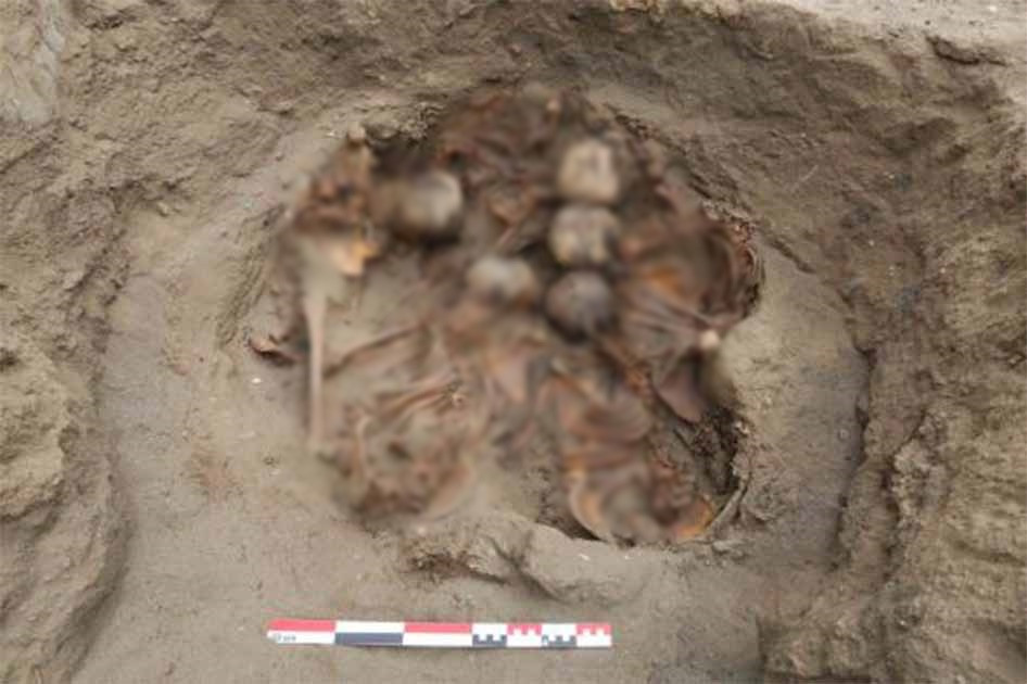 Khi tiến hành khai quật tại Pampa La Cruz, Peru, các nhà khảo cổ tìm thấy những ngôi mộ tập thể chứa hài cốt của 76 trẻ em. Phát hiện này nâng tổng số hài cốt trẻ em được khai quật tại đây lên 303.