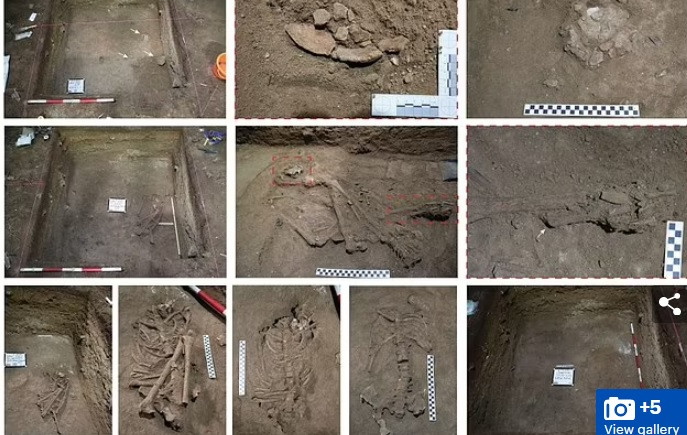 Với việc phát hiện phần chân trái bị cắt cụt có chủ đích, các chuyên gia nhận định đây có thể là trường hợp được phẫu thuật cắt chi sớm nhất lịch sử. Nếu điều này được xác thực thì sẽ làm thay đổi hoàn toàn sự hiểu biết của chúng ta về trình độ y tê của con người thời Đồ đá.