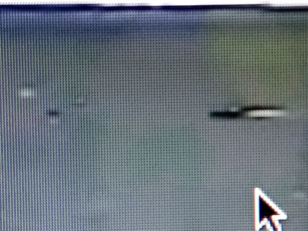 Eoin cho hay đã quay được 2 video trên nhờ dữ liệu webcam đặt ngay tại hồ Loch Ness. Sau khi 2 video được công bố, công chúng dành nhiều sự quan tâm đến sinh vật bí ẩn xuất hiện trong đoạn phim của Eoin.