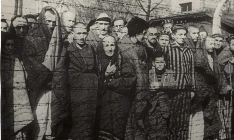 Theo đó, người Do Thái ở Đức và các nước châu Âu bị phát xít Đức chiếm đóng trở thành mục tiêu của "Giải pháp cuối cùng". Không chỉ bắt giữ, tra tấn, phát xít Đức sát hại khoảng 6 triệu người Do Thái (tức gần bằng 2/3 số người Do Thái sống ở châu Âu khi ấy).