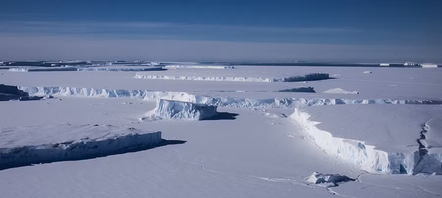 Nghiên cứu cũng cho thấy sông băng Thwaites có thể sẽ trải qua một đợt rút đi nhanh trong tương lai gần, nhất là khi nó rút qua một sườn núi dưới đáy biển vốn đang giúp neo giữ đáy sông băng.