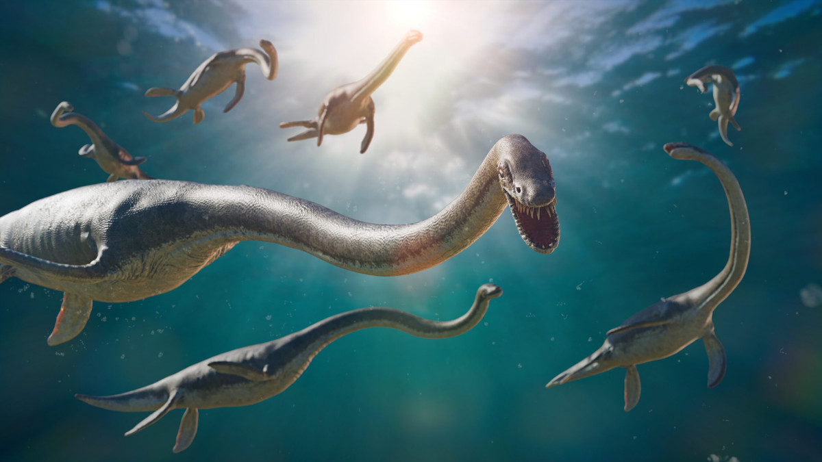 Số răng này có hình nón cao, trơn nhẵn. Với hàm răng như vậy, Serpentisuchops pfisterae có thể dễ dàng tấn công và ăn thịt con mồi.