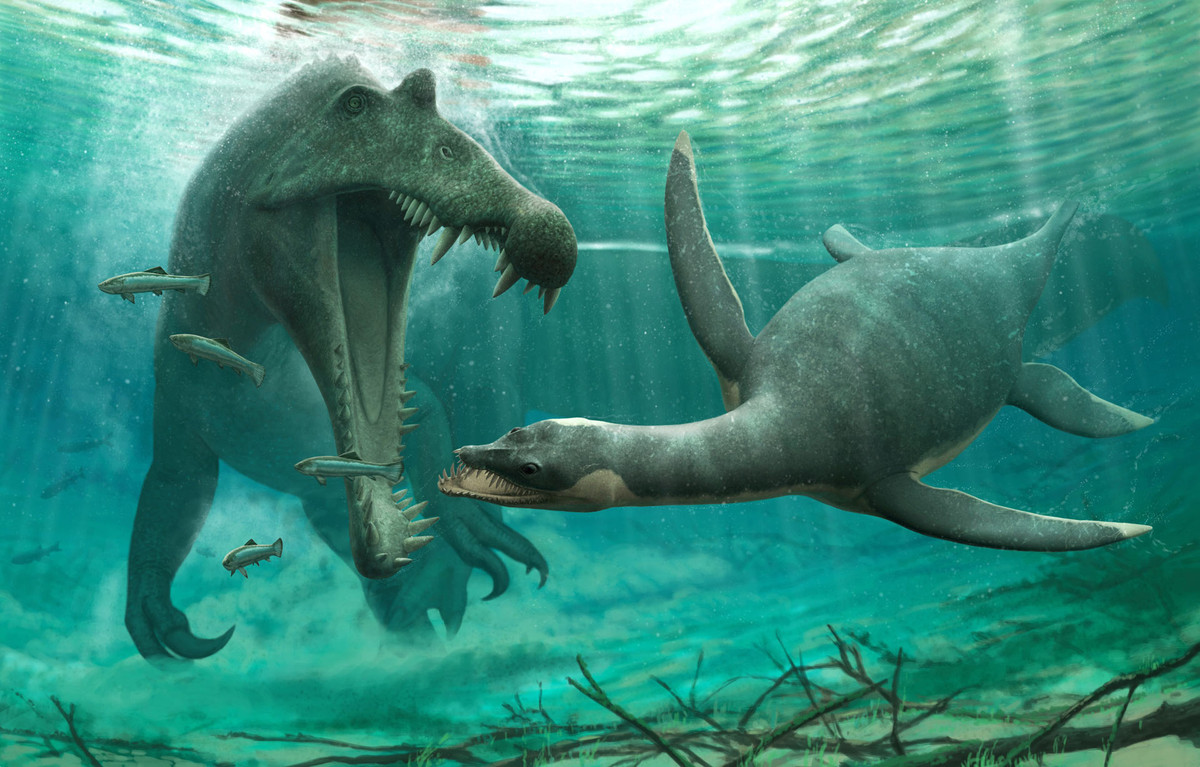Plesiosaurs là một nhóm khủng long sống dưới nước phát triển mạnh trong kỷ Phấn Trắng.