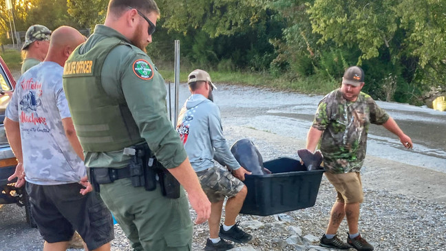 Đây là con cá lớn nhất mà anh Burkhart từng câu được từ trước đến nay. Anh cho hay cảm thấy kinh ngạc vì trước đó chỉ thấy những con cá khủng trên ti vi.