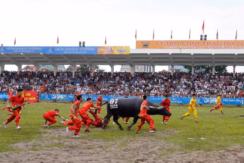 Trau noi bi choi “vang”, trau mua tu Campuchia len ngoi vo dich-Hinh-2