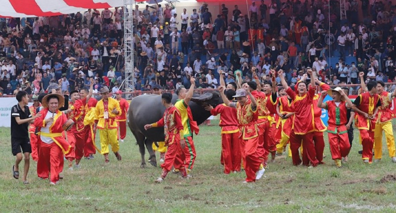 Trau noi bi choi “vang”, trau mua tu Campuchia len ngoi vo dich-Hinh-5