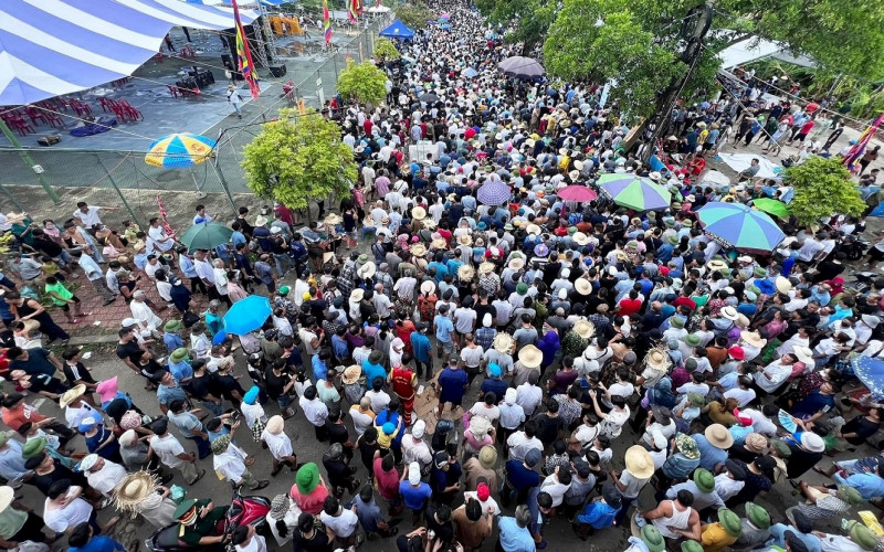 Trau noi bi choi “vang”, trau mua tu Campuchia len ngoi vo dich