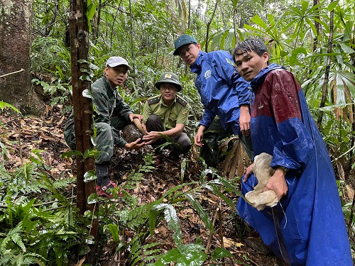 Sau khi hoàn thành công tác cứu hộ và kiểm dịch, Trung tâm Cứu hộ bảo tồn và phát triển sinh vật (Vườn quốc gia Phong Nha - Kẻ Bàng) ngauy 26/9 thông tin mới phối hợp với các đơn vị liên quan thả 10 cá thể động vật hoang dã thuộc diện nguy cấp về với môi trường tự nhiên.