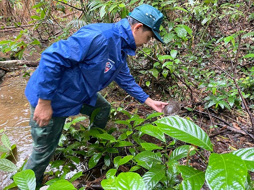 10 cá thể động vật hoang dã được thả về tự nhiên gồm: 1 tê tê Java, 1 cầy vòi hương, 1 cầy vòi mốc, 2 rùa hộp trán vàng miền Bắc, 1 rùa hộp trán vàng miền Trung, 2 rùa đất Sê-pôn, 2 cu li nhỏ. Tất cả được thả về môi trường tự nhiên tại Vườn quốc gia Phong Nha - Kẻ Bàng.