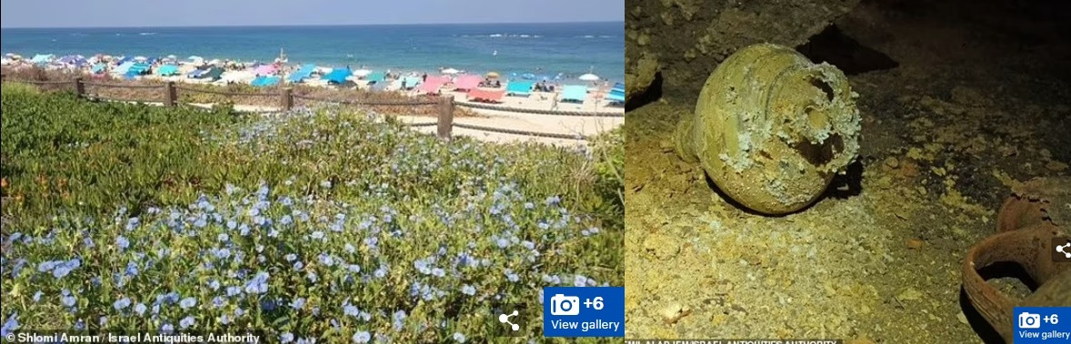 Cơ quan quản lý cổ vật Israel (IAA) mới công bố thông tin phát hiện về một hang động từng là nơi chôn cất dưới thời pharaoh Ai Cập Rameses II (1279 trước Công nguyên - 1213 trước Công nguyên). Hang động này ở một bãi biển trong khuôn viên vườn quốc gia Palmahim. Một tài xế lái máy xúc vô tình húc phải mái vòm hang động từ đó các chuyên gia tìm thấy nhiều cổ vật.