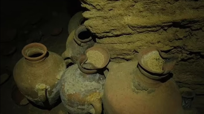 Không những vậy, chúng có nguồn gốc từ nhiều nơi gồm: Cyprus, Liban, Bắc Syria, Gaza và Jaffa. Đây là bằng chứng cho thấy hoạt động buôn bán diễn ra sôi nổi dọc bờ biển ở khu vực hơn 3.300 năm trước.