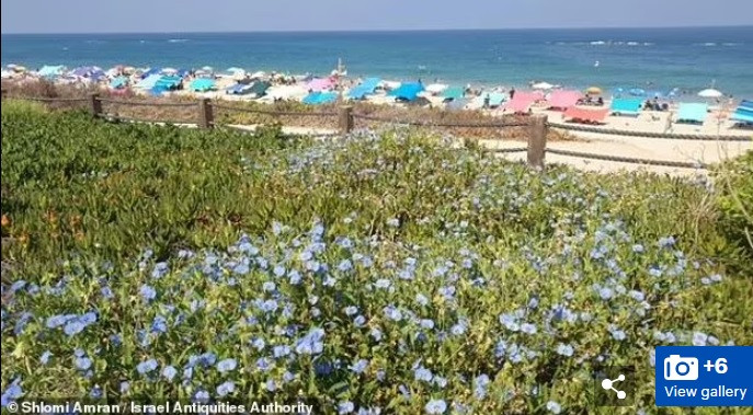 Theo các chuyên gia, hàng chục bình gốm, chén bát, nồi nấu ăn hũ đựng, đèn, đồ tạo tác bằng đồng.... được tìm thấy bên trong hang động.