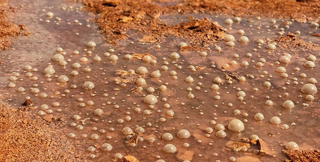 Hàm lượng lưu huỳnh trong suối nước nóng Aiken cao hơn mức bình thường rất nhiều. Do đó, nếu động vật nào uống nước từ con suối này sẽ mất mạng nhanh chóng.