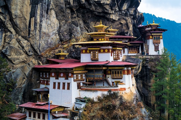 Paro Taktsang có một hang động - nơi Guru Padmasambhava đã ngồi thiền từ thế kỷ thứ 8. Theo truyền thuyết, Guru Padmasambhava đã ngồi thiền suốt ba năm, ba tháng, ba tuần, ba ngày và ba giờ liên tục. Ông thiền ở tổng cộng 13 hang động, trong đó Paro Taktsang là hang nổi tiếng nhất. Sau khi hoàn thành quá trình thiền đồng thời đưa Phật giáo đến Bhutan, Guru Padmasambhava trở thành vị thần của đất nước này. 9 thế kỷ sau, tại chính nơi ông thiền, tu viện Paro Taktsang được khởi công xây dựng.