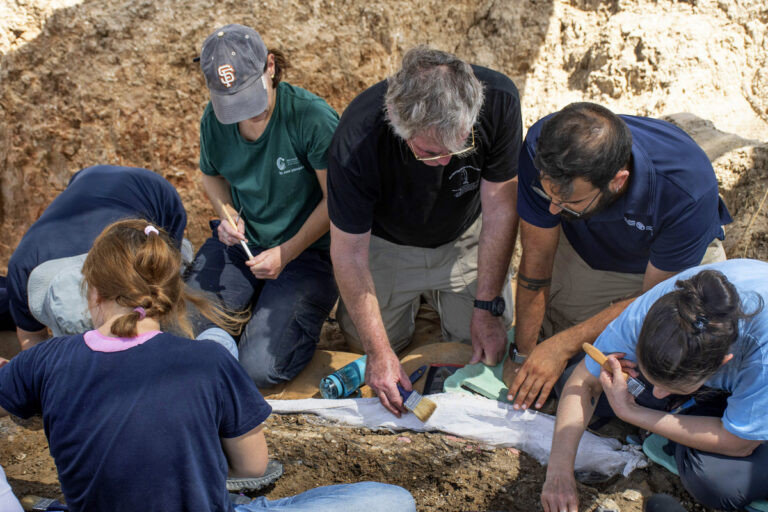 Các nhà khảo cổ đang nghiên cứu nhằm xác định xem chiếc ngà là phần còn lại của một con voi bị săn hay là thứ được người dân thời tiền sử sống trong khu vực này để thu thập với mục đích tâm linh hay không.