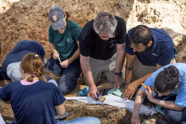 Các nhà khảo cổ đang nghiên cứu nhằm xác định xem chiếc ngà là phần còn lại của một con voi bị săn hay là thứ được người dân thời tiền sử sống trong khu vực này để thu thập với mục đích tâm linh hay không.