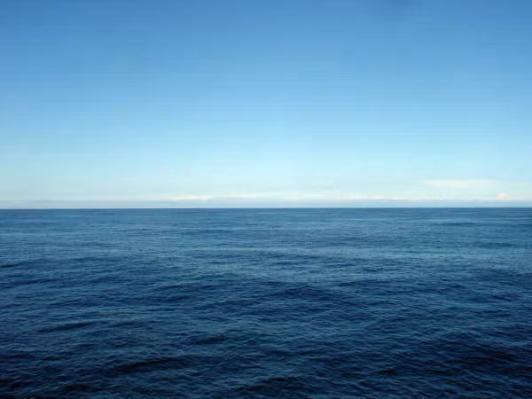 Người ngoài hành tinh được cho là đã xây dựng căn cứ bí mật bên dưới Thái Bình Dương. Trong những năm qua, hàng trăm báo cáo về UFO được ghi nhận tại địa điểm này.