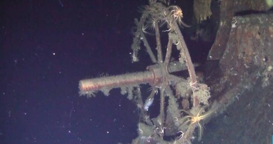 Thông báo của Shinil Group có đoạn viết: “Chúng tôi đã nhìn thấy những thứ giống thùng đựng kho báu song chưa mở ra xem. Chúng tôi sẽ mở vào thời điểm thích hợp”. Khoảng 200 tấn vàng trên tàu Dmitrii Donskoi ước tính trị giá khoảng 133 tỉ USD theo tỷ giá hiện nay.