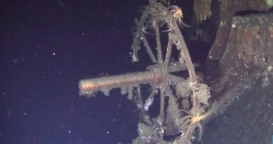 Thông báo của Shinil Group có đoạn viết: “Chúng tôi đã nhìn thấy những thứ giống thùng đựng kho báu song chưa mở ra xem. Chúng tôi sẽ mở vào thời điểm thích hợp”. Khoảng 200 tấn vàng trên tàu Dmitrii Donskoi ước tính trị giá khoảng 133 tỉ USD theo tỷ giá hiện nay.