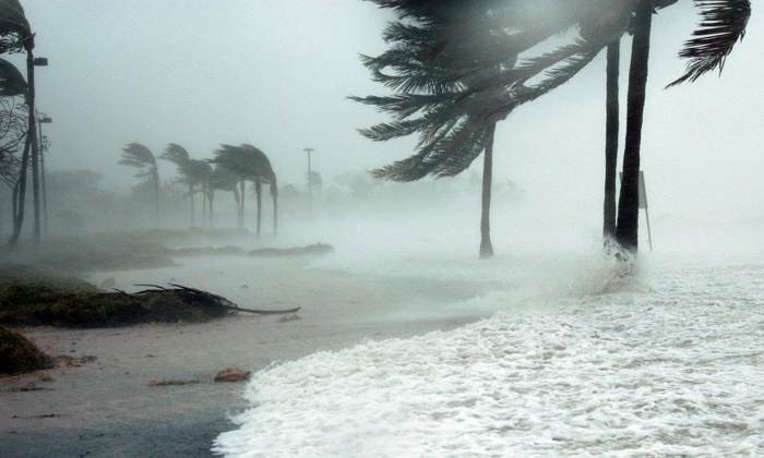 Từ đầu thế kỷ 20, các nhà khi tượng bắt đầu đặt tên cho các cơn bão nhằm tạo điều kiện thuận lợi cho việc trao đổi thông tin, liên lạc cũng như giảm thiểu nhầm lẫn khi hai hoặc nhiều cơn bão xảy ra cùng thời điểm. Tổ chức Khí tượng Thế giới (World Meteorological Organization - WMO) cho hay các cơn bão nhiệt đới được đặt tên theo quy tắc ở từng khu vực.