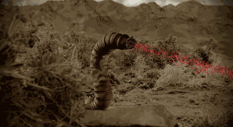 Một số giả thuyết cho rằng, sinh vật bí ẩn này đã tiêu diệt nhiều bộ lạc du mục khi họ đi qua sa mạc Gobi. Đến nay, thông tin này vẫn chưa được kiểm chứng nên công chúng càng tò hơn về việc liệu "sâu tử thần Mông Cổ" có thực sự tồn tại hay không.