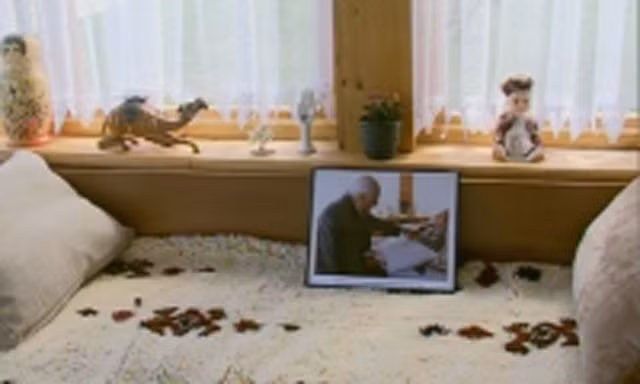 Do vậy, ngôi nhà của bà Vanga bị niêm phong suốt 18 năm. Đến ngày 25/3/2014, ngôi nhà của “Nostradamus của vùng Balkan" chính thức mở cửa để đón khách du lịch.