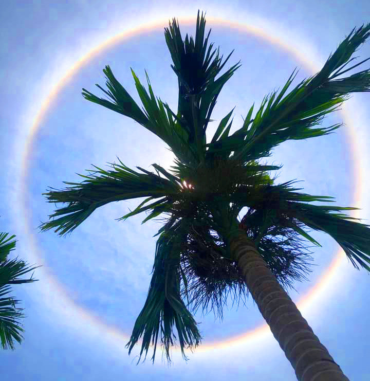 Trước hiện tượng hào quang mặt trời hiếm gặp này, nhiều người dân đã chụp ảnh và chia sẻ lên mạng xã hội. Ảnh: Móng Cái New.