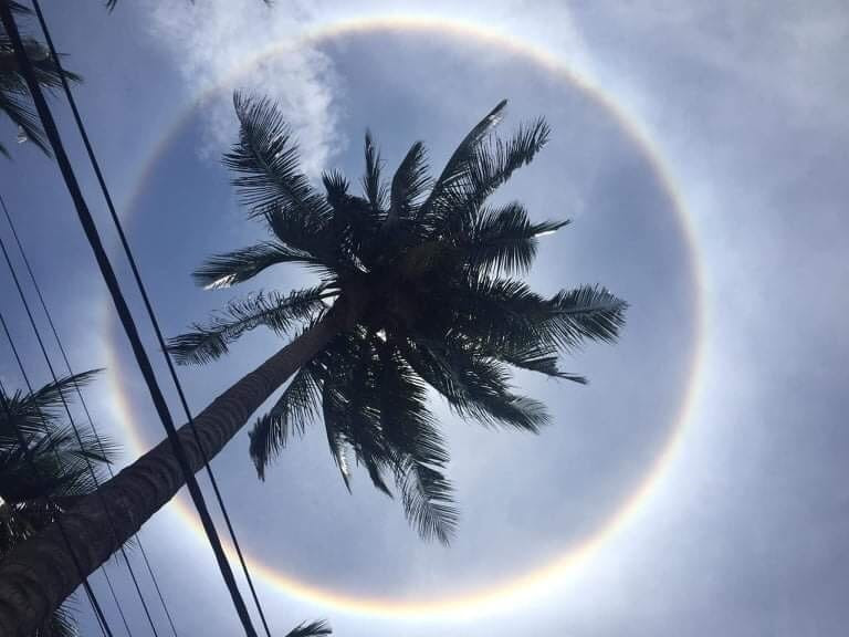 Một số tỉnh thành ở Việt Nam từng ghi nhận hiện tượng hào quang mặt trời. Trong đó, vào trưa ngày 28/3/2022, hào quang mặt trời xuất hiện trên bầu trời ở huyện Vạn Ninh, tỉnh Khánh Hòa. Ảnh Pi/Lao động.