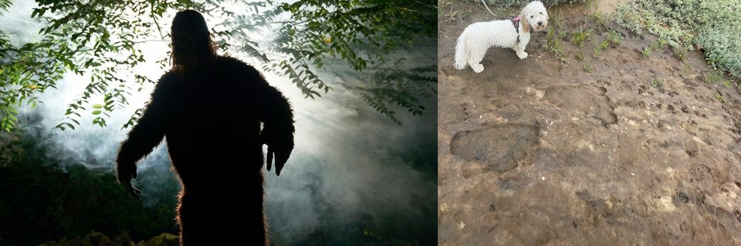 Theo lời kể của các nhân chứng, quái vật khổng lồ có hình dáng trông giống một người đàn ông với cơ thể đầy lông lá.