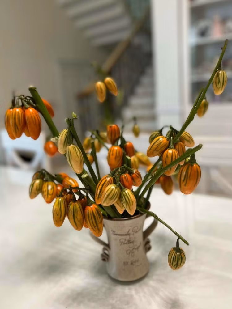 Cành quả sai lúc lỉu cắm chơi đẹp lạ khiến chị em thích mê - Hình 3 Canh qua sai luc liu cam choi dep la khien chi em thich me-Hinh-3