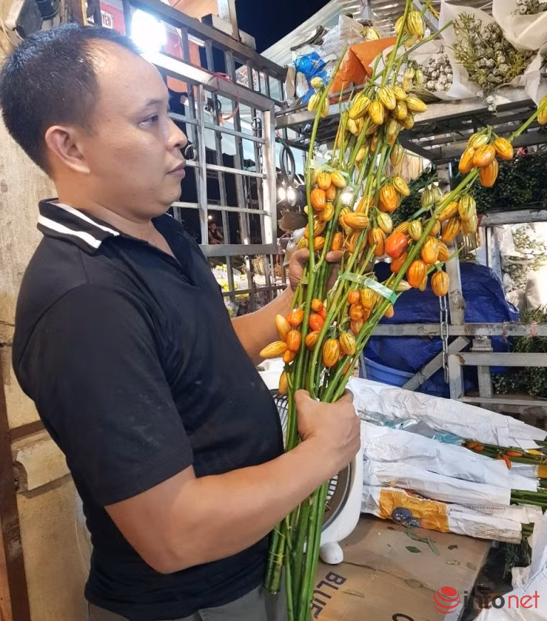 Cành quả sai lúc lỉu cắm chơi đẹp lạ khiến chị em thích mê - Hình 2 Canh qua sai luc liu cam choi dep la khien chi em thich me-Hinh-2