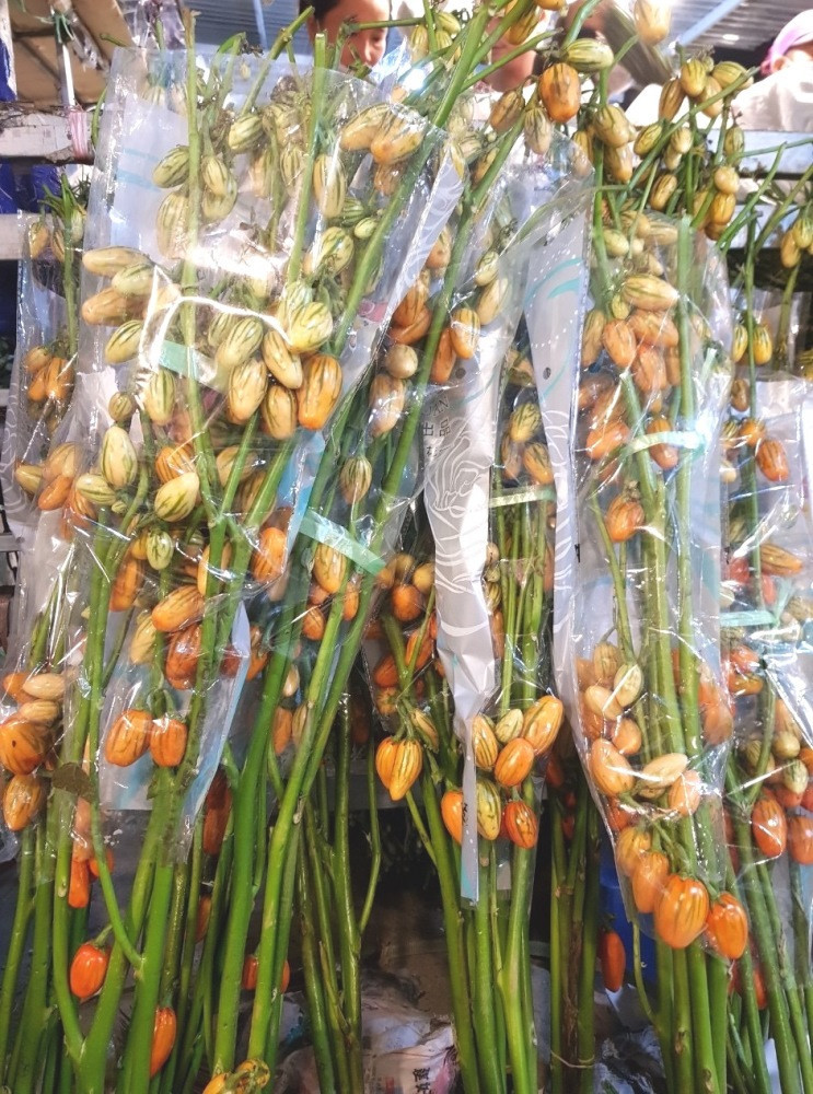 Canh qua sai luc liu cam choi dep la khien chi em thich me