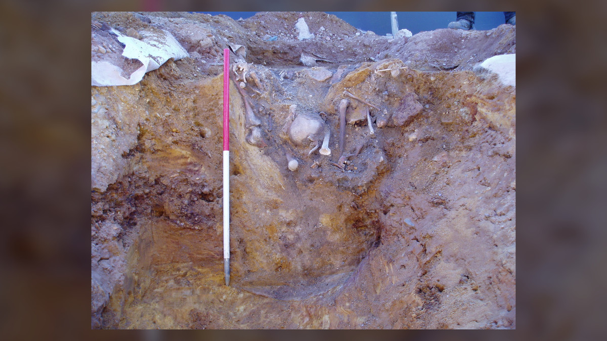 Vào năm 2004, các công nhân xây dựng tiến hành thi công một trung tâm mua sắm ở Norwich, Anh. Trong quá trình đó, họ vô tình tìm thấy 17 bộ hài cốt dưới đáy giếng 800 năm tuổi. Sau 18 năm nghiên cứu, các chuyên gia đã phát hiện một số bí mật "động trời" về những thi hài này.